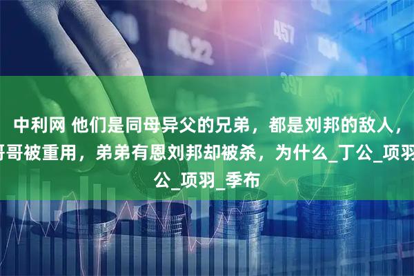 中利网 他们是同母异父的兄弟，都是刘邦的敌人，但是哥哥被重用，弟弟有恩刘邦却被杀，为什么_丁公_项羽_季布