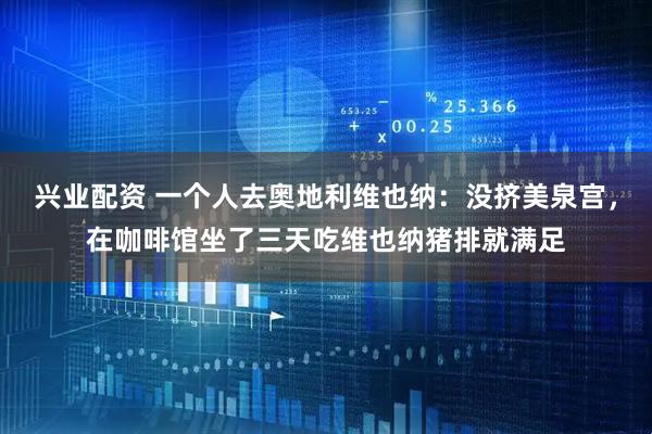 兴业配资 一个人去奥地利维也纳：没挤美泉宫，在咖啡馆坐了三天吃维也纳猪排就满足